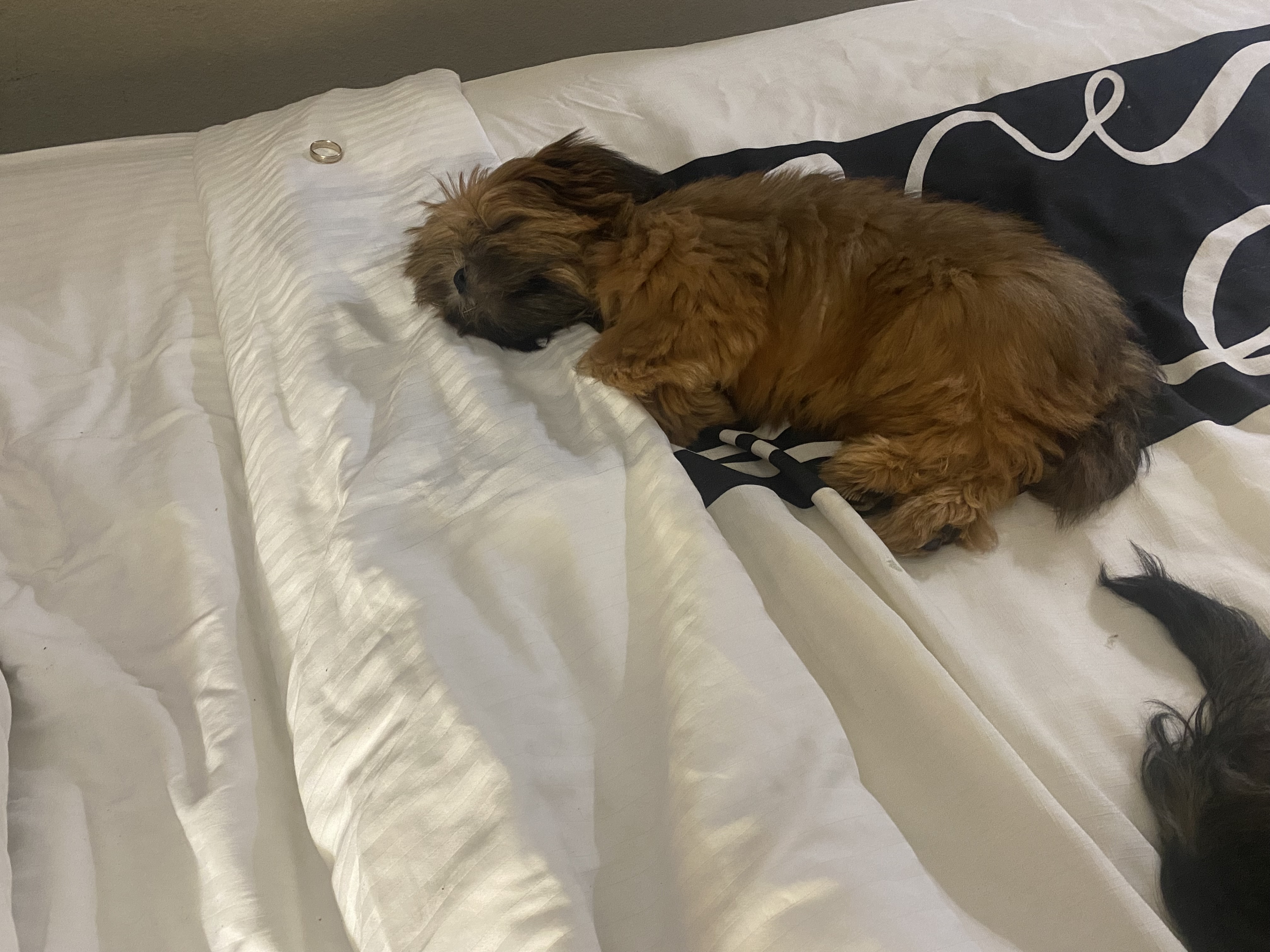 Nap Time